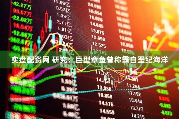 实盘配资网 研究：巨型章鱼曾称霸白垩纪海洋